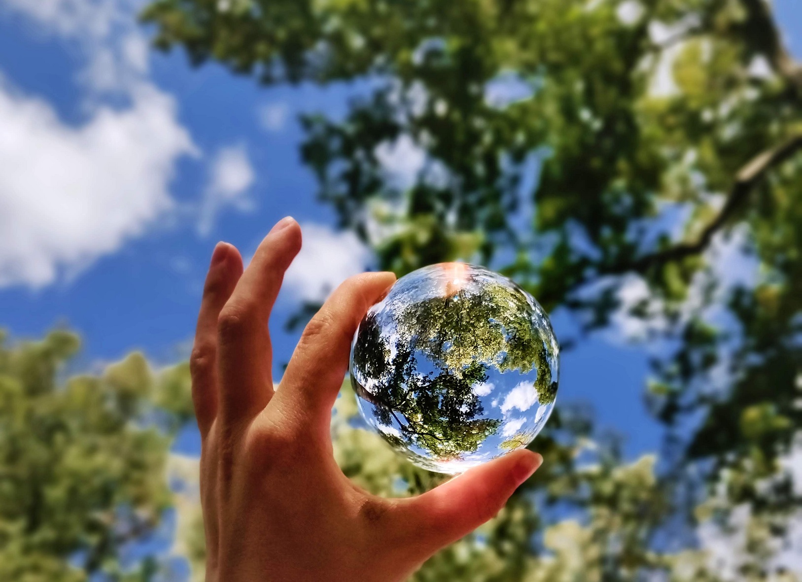 Environmental Achievements 2023 - Jarvis Cosmetic Developments